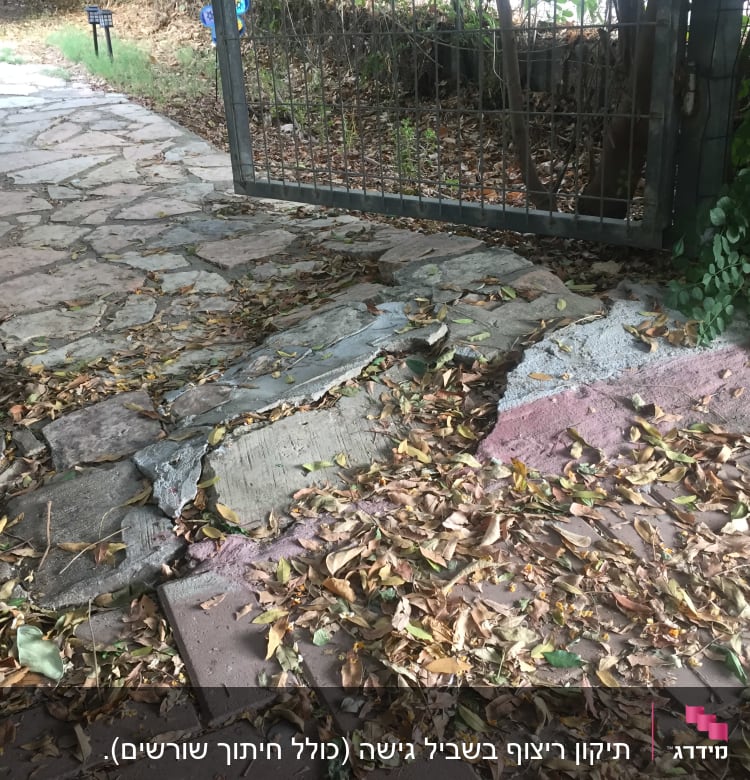 שביל מרוצף עם עלים יבשים, שיפוץ אבן שבורה